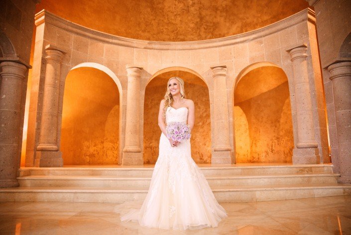Stunning Houston Bridal Portraits